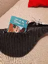 20241129_203314.webp